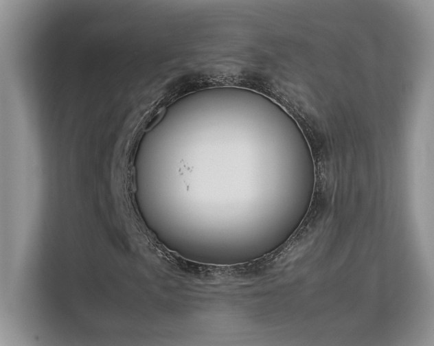 X0000112171057200908071154