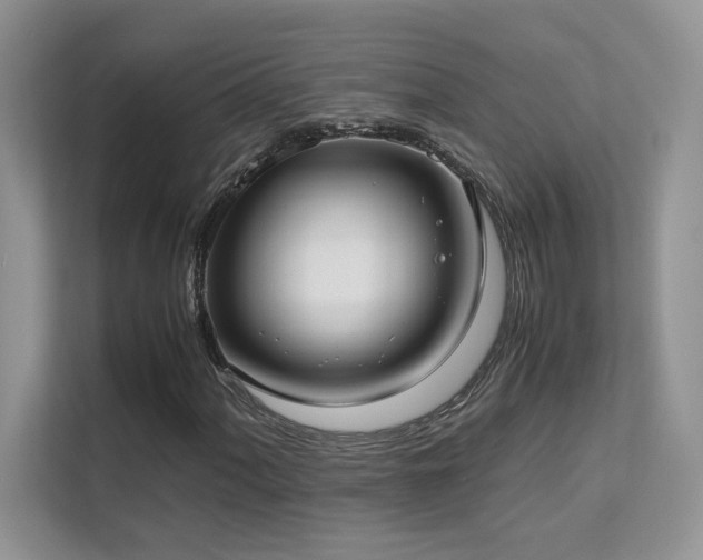 X0000112171060200908071154