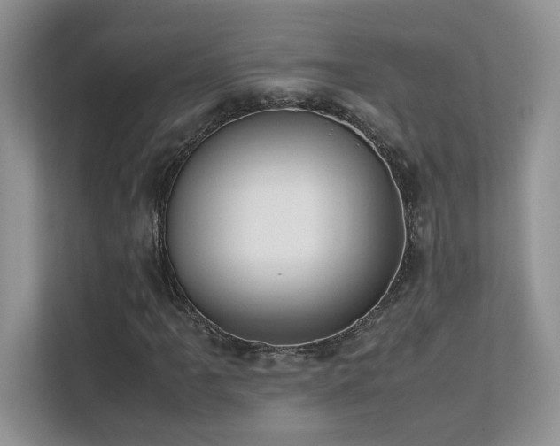 X0000112171061200908071154