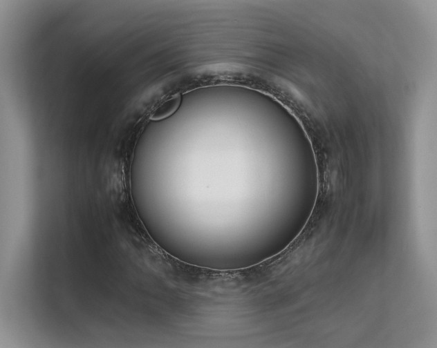 X0000112171062200908071154