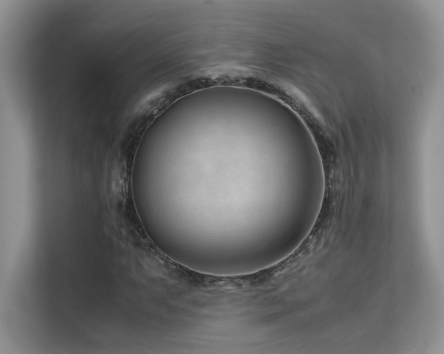 X0000112171063200908071154