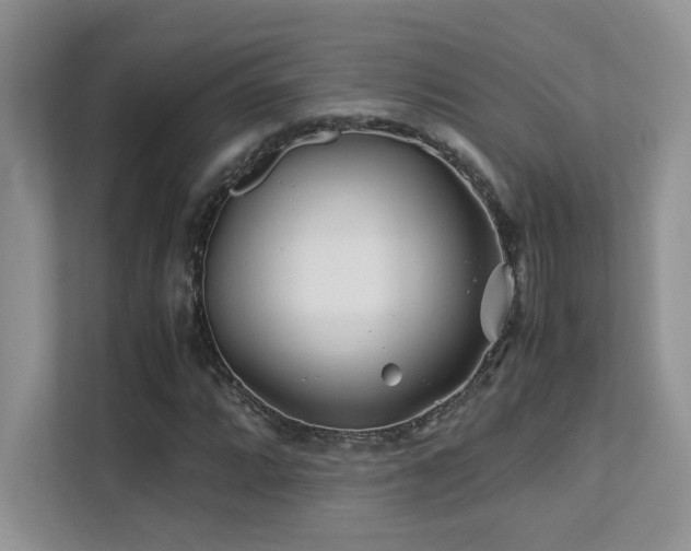 X0000112171064200908071154