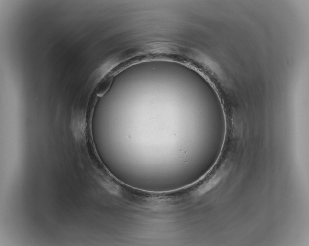 X0000112171065200908071154