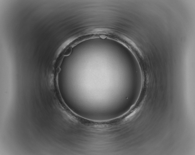 X0000112171066200908071153