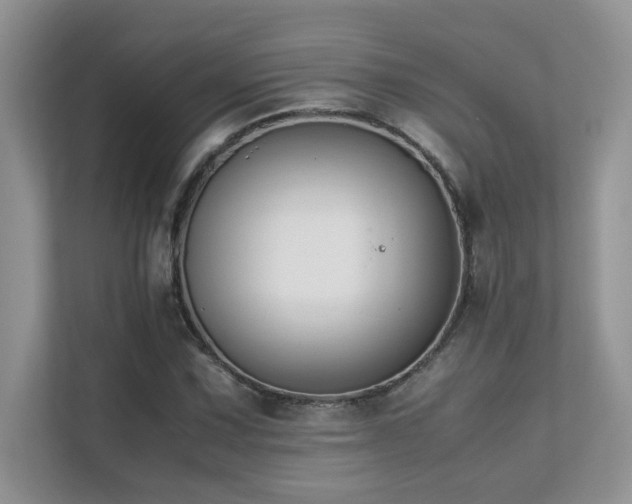 X0000112171067200908071153