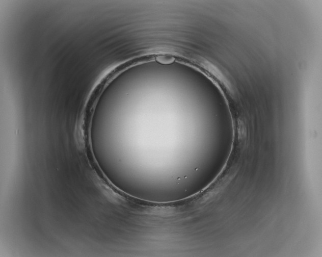 X0000112171068200908071153