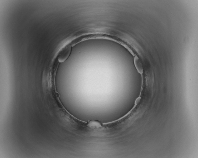 X0000112171069200908071153