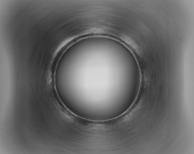 X0000112171070200908071153