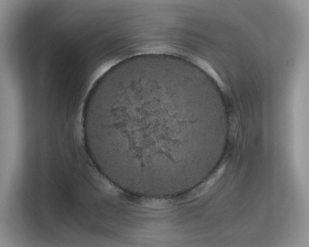 X0000112171071200908071153