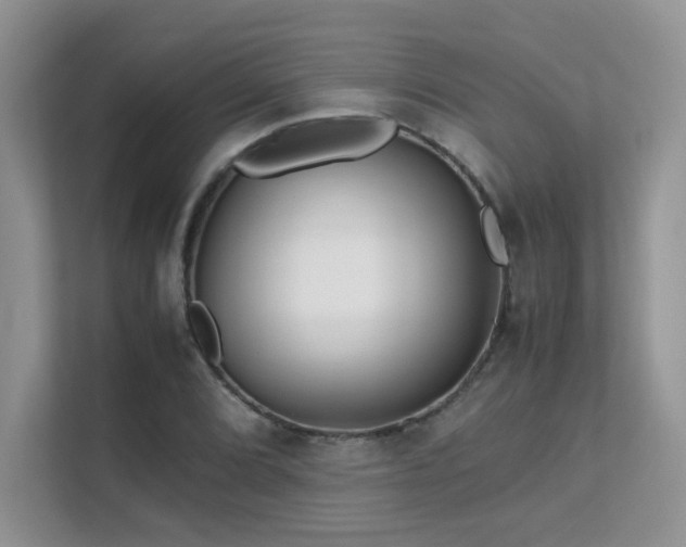 X0000112171072200908071153