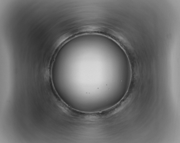 X0000112171073200908071153