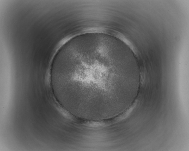 X0000112171074200908071153