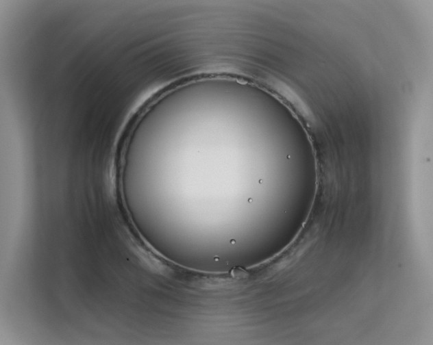 X0000112171076200908071153