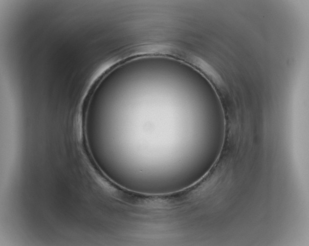 X0000112171079200908071153