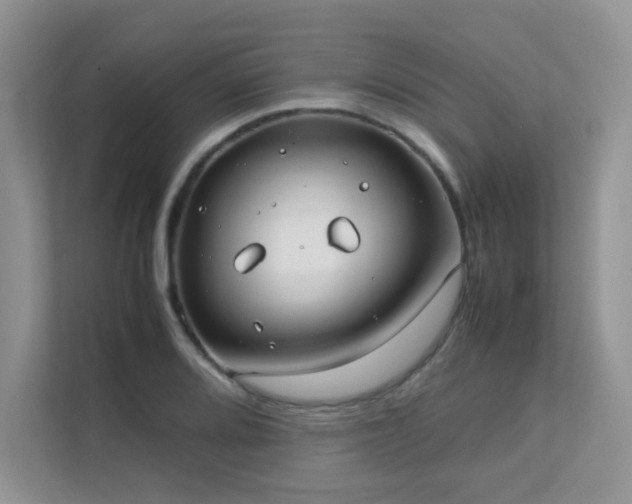 X0000112171080200908071153