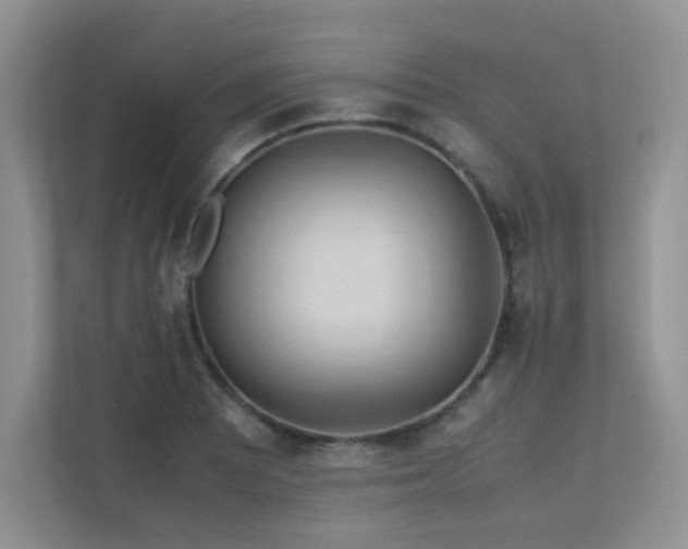 X0000112171081200908071153