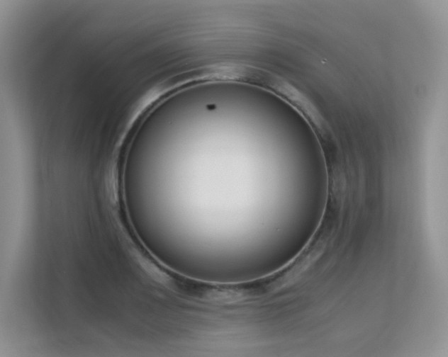 X0000112171083200908071153