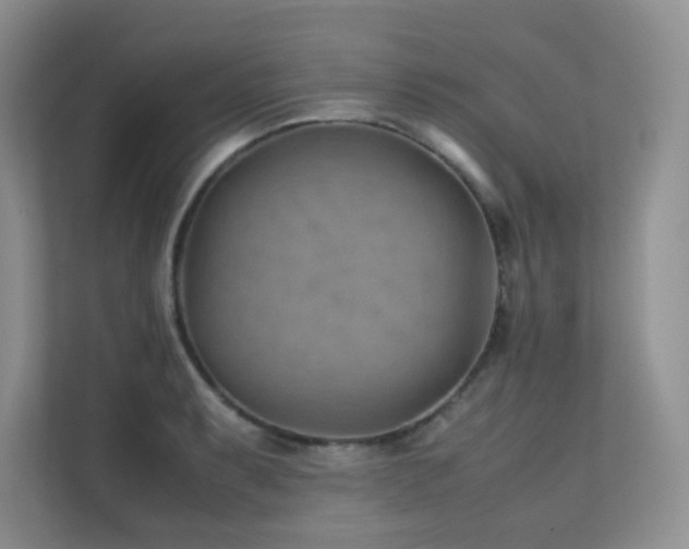 X0000112171087200908071153