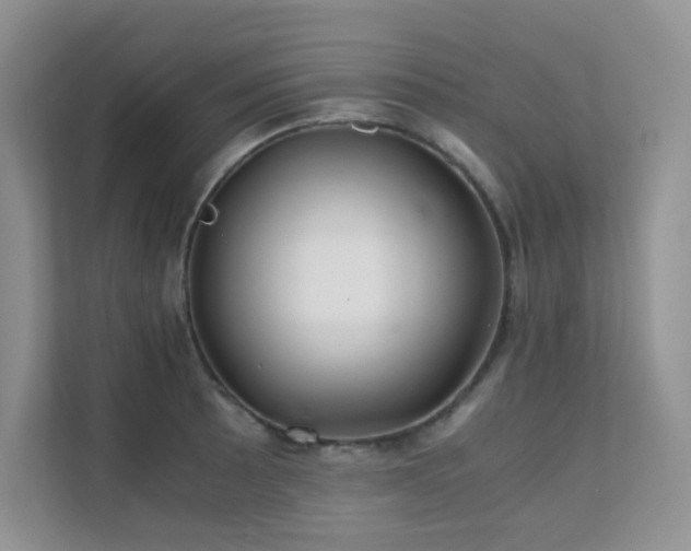 X0000112171089200908071153