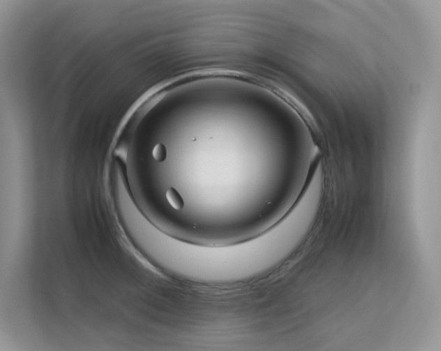 X0000112171092200908071153