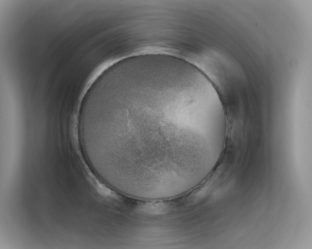 X0000112171094200908071153