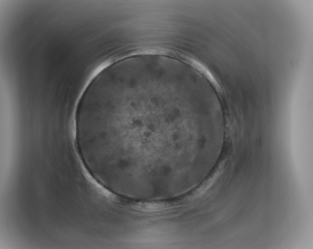 X0000112171095200908071153