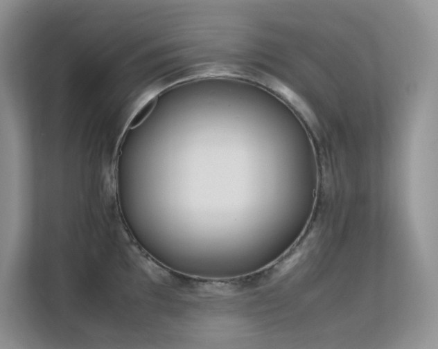 X0000112171097200908071153