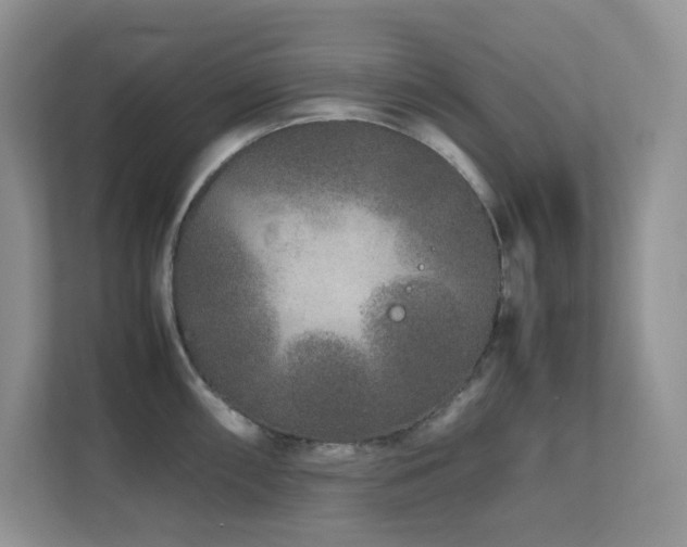 X0000112171098200908071153