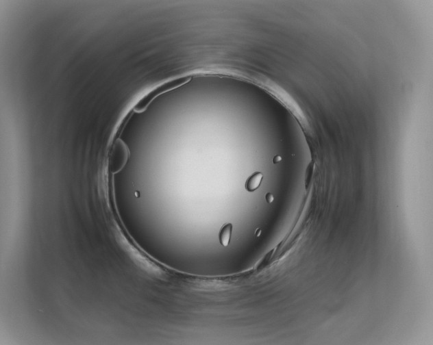 X0000112171100200908071153