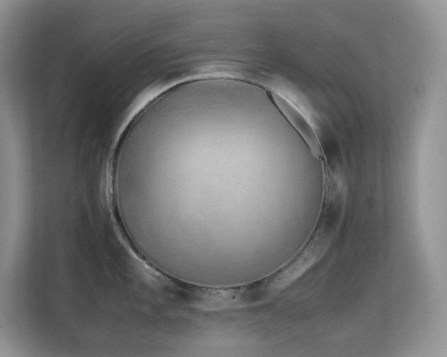 X0000112171101200908071153