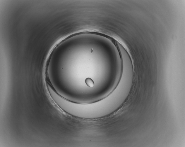 X0000112171104200908071153