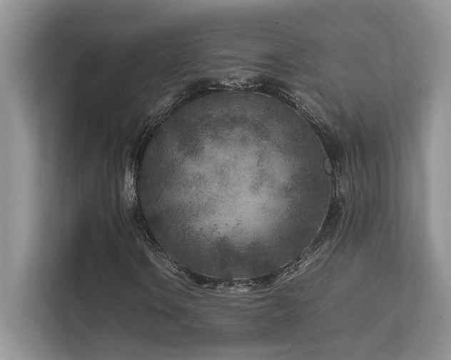 X0000112171106200908071152