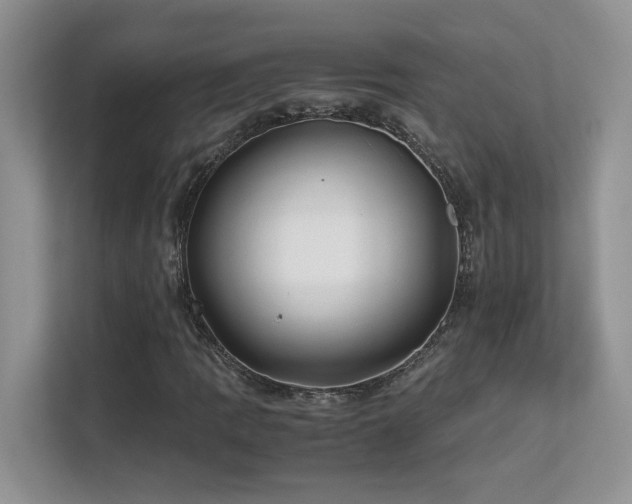 X0000112171109200908071152