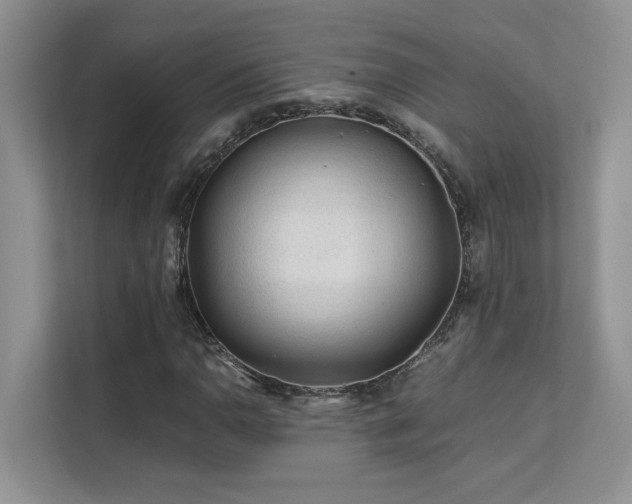 X0000112171110200908071152