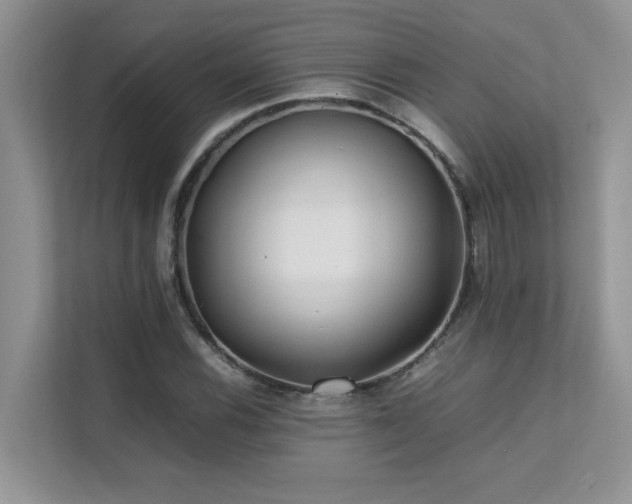 X0000112171116200908071153