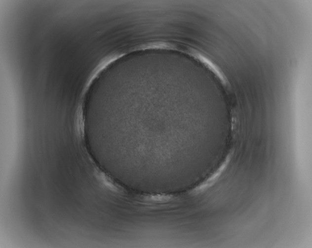 X0000112171117200908071153