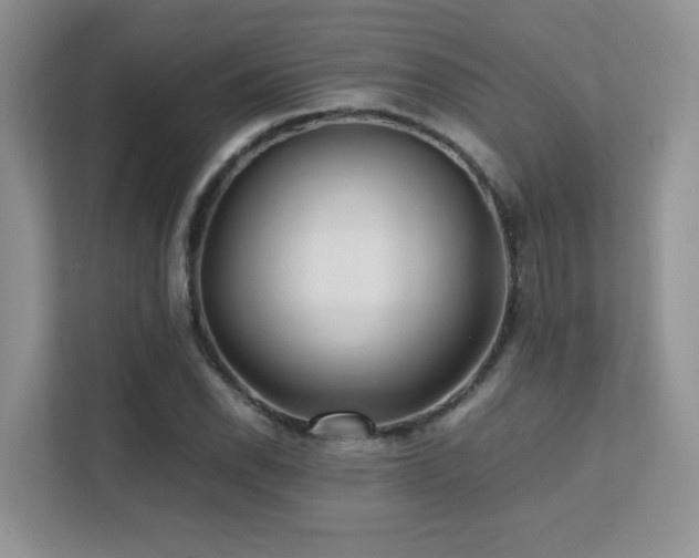 X0000112171118200908071153