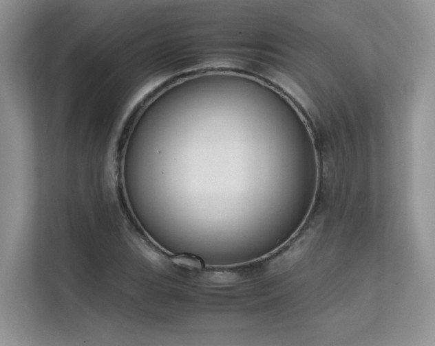 X0000112171119200908071153