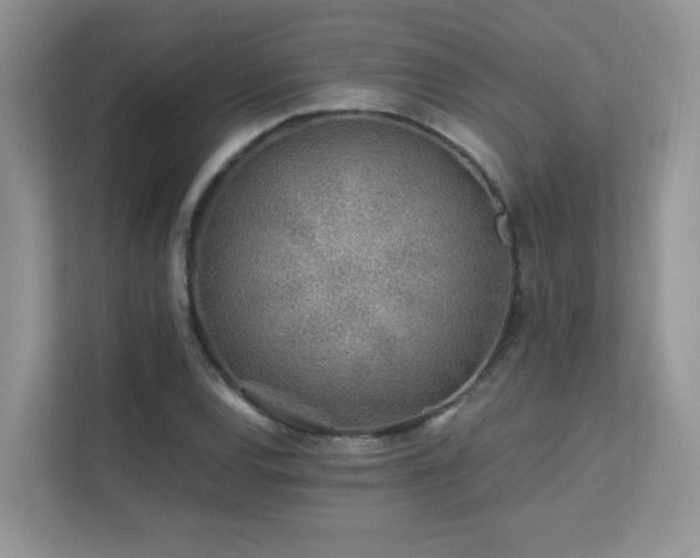 X0000112171120200908071153