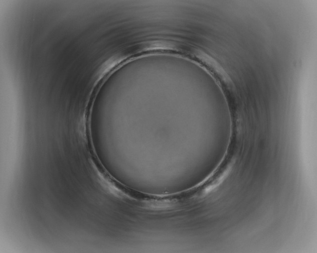 X0000112171121200908071153