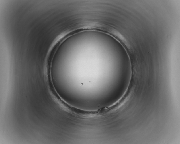 X0000112171122200908071153