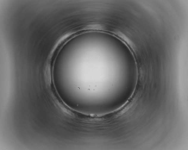 X0000112171123200908071153