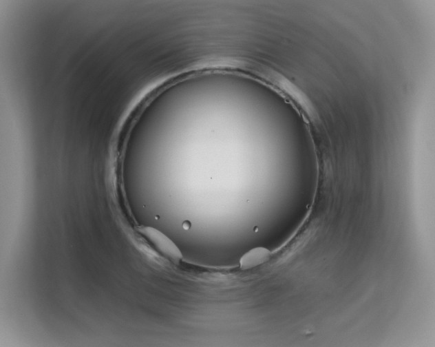 X0000112171124200908071153