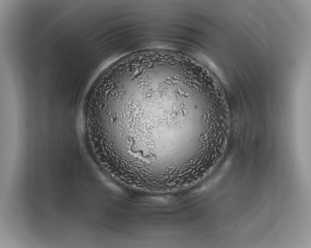 X0000112171125200908071153