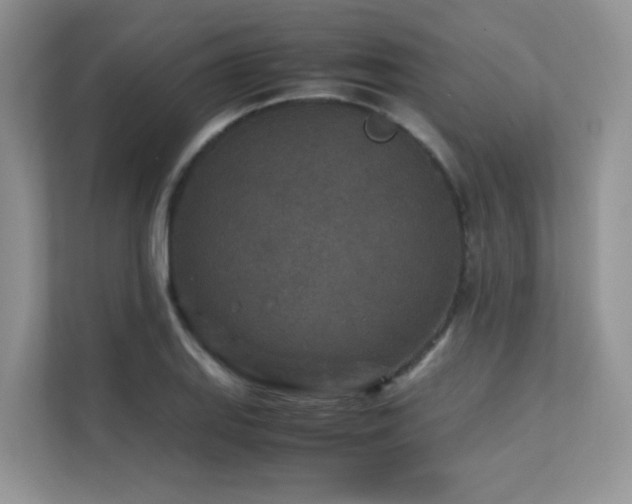 X0000112171127200908071153