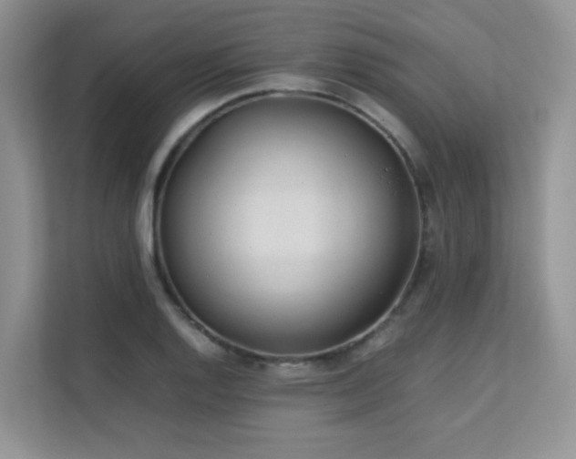 X0000112171128200908071153