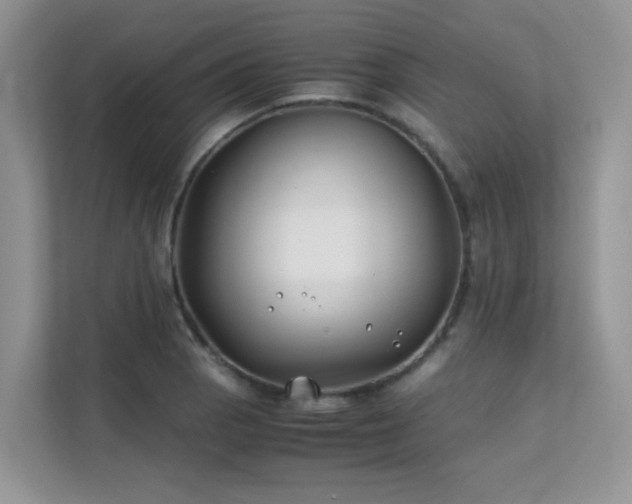 X0000112171129200908071153