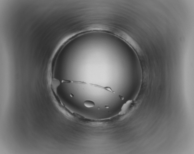 X0000112171132200908071153