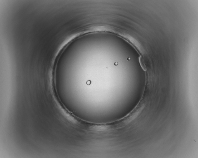 X0000112171134200908071153