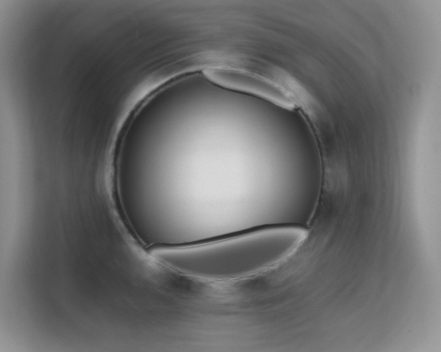 X0000112171136200908071153